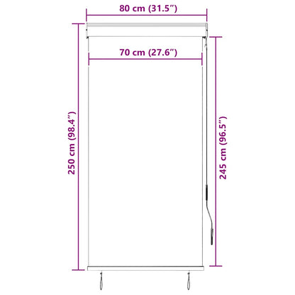 vidaXL Outdoor Roller Blind | Anthracite | Polyester with PA coating