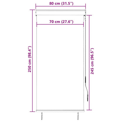vidaXL Outdoor Roller Blind 80x250 cm Cream