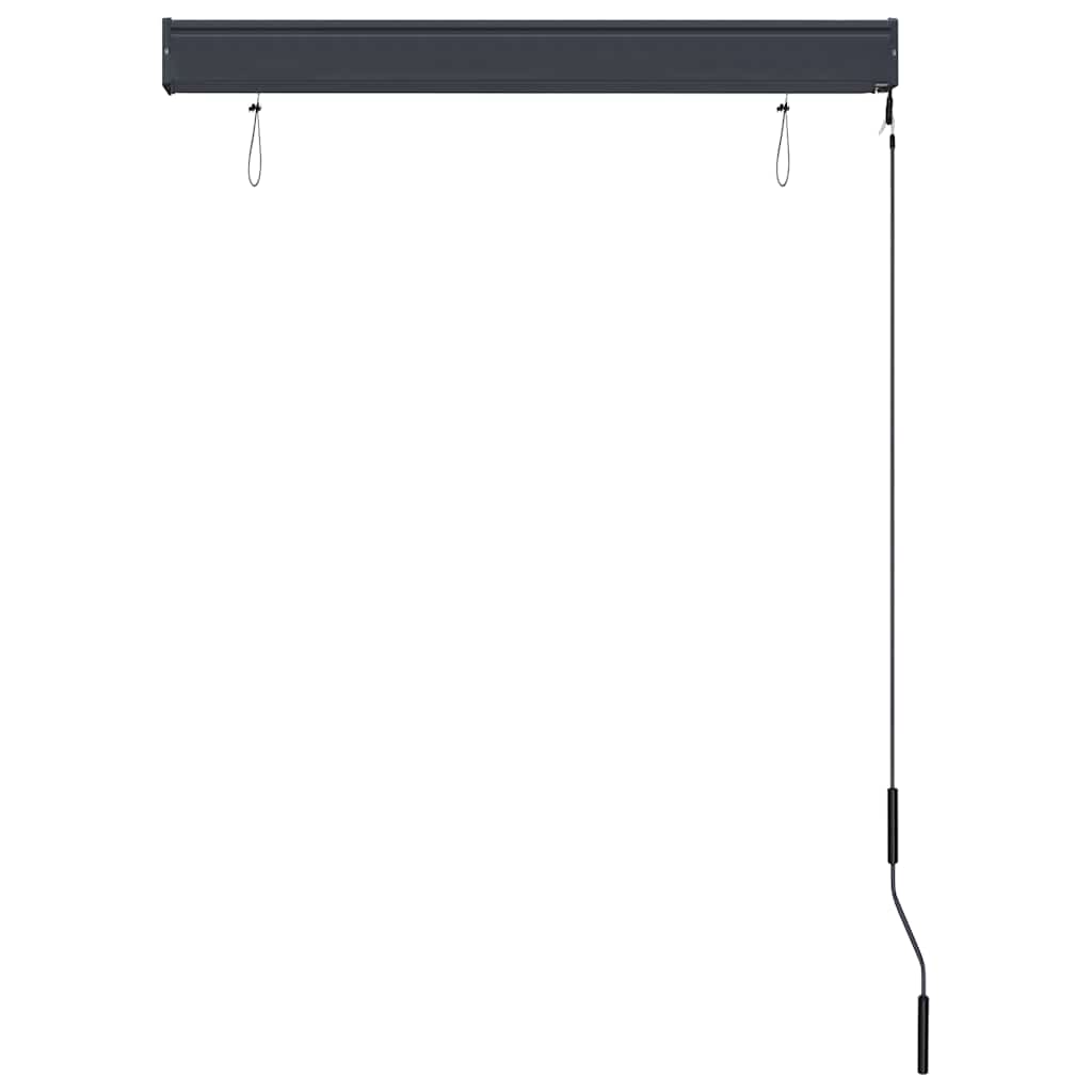 vidaXL Outdoor Roller Blind 100x250 cm Blue and White