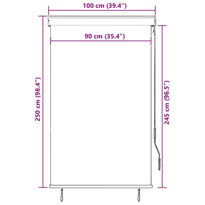 vidaXL Outdoor Roller Blind 100x250 cm Blue and White