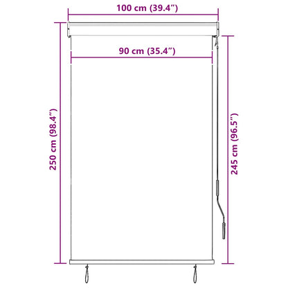 vidaXL Outdoor Roller Blind 100x250 cm White and Orange
