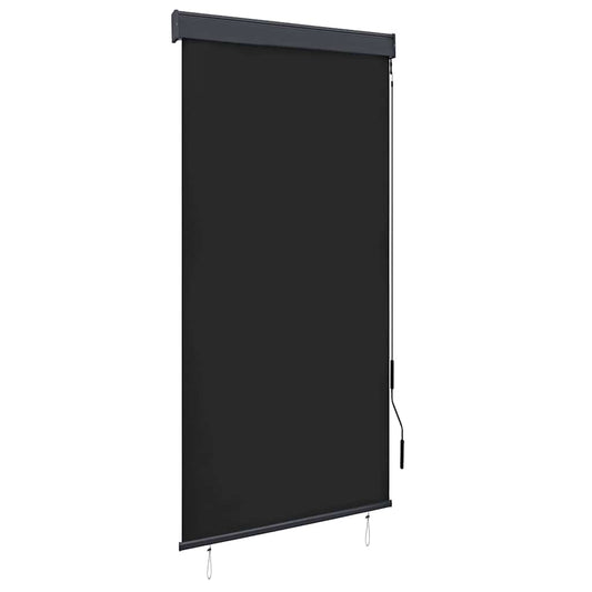 vidaXL Outdoor Roller Blind | Anthracite