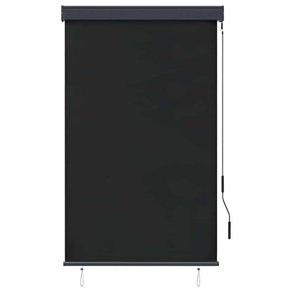 vidaXL Outdoor Roller Blind | Anthracite