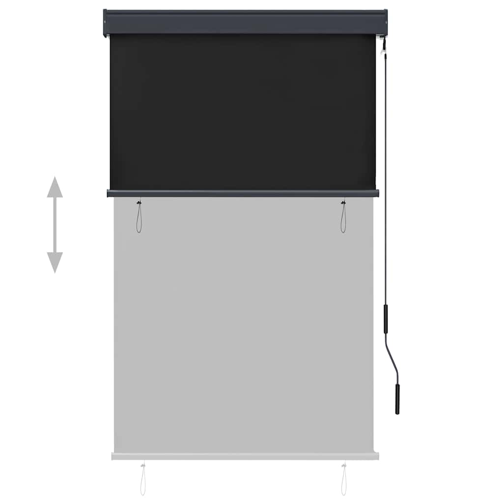 vidaXL Outdoor Roller Blind | Anthracite