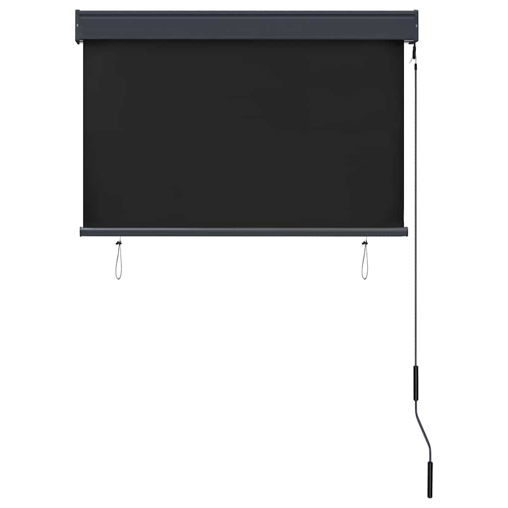 vidaXL Outdoor Roller Blind | Anthracite