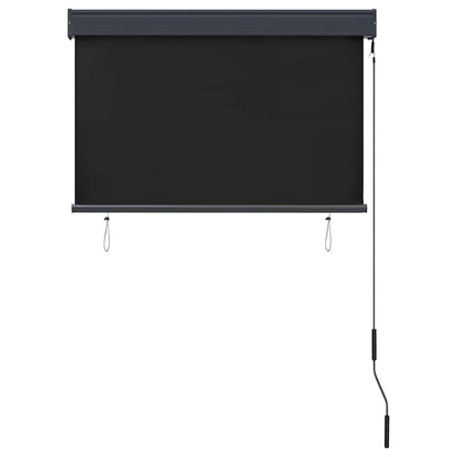 vidaXL Outdoor Roller Blind | Anthracite