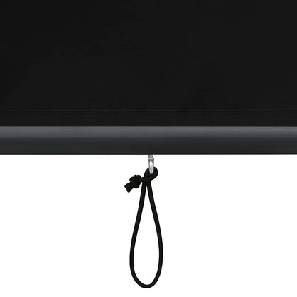 vidaXL Outdoor Roller Blind | Anthracite
