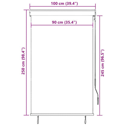 vidaXL Outdoor Roller Blind | Anthracite