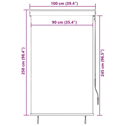 vidaXL Outdoor Roller Blind | Cream