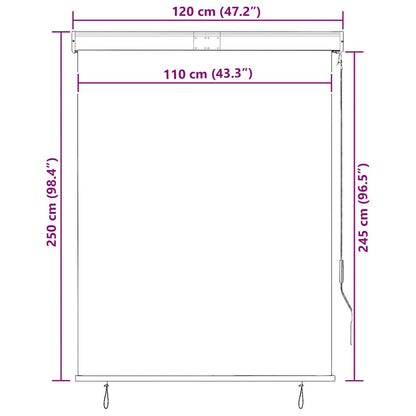 vidaXL Outdoor Roller Blind 120x250 cm Blue and White