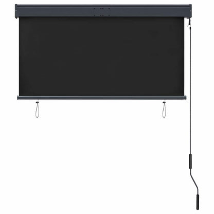 vidaXL Outdoor Roller Blind 120x250 cm Anthracite