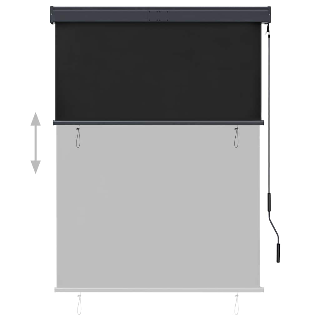 vidaXL Outdoor Roller Blind 120x250 cm Anthracite