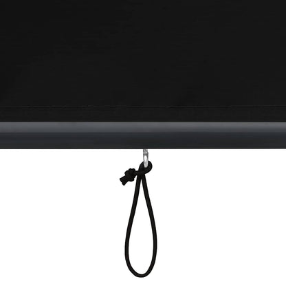 vidaXL Outdoor Roller Blind 120x250 cm Anthracite