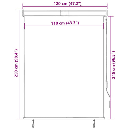 vidaXL Outdoor Roller Blind 120x250 cm Anthracite