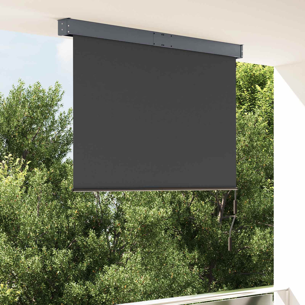 145970 vidaXL Outdoor Roller Blind 140x250 cm Anthracite