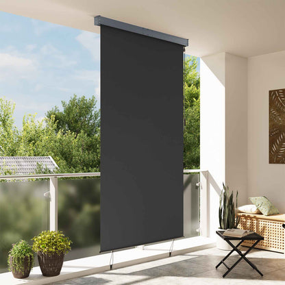 145970 vidaXL Outdoor Roller Blind 140x250 cm Anthracite