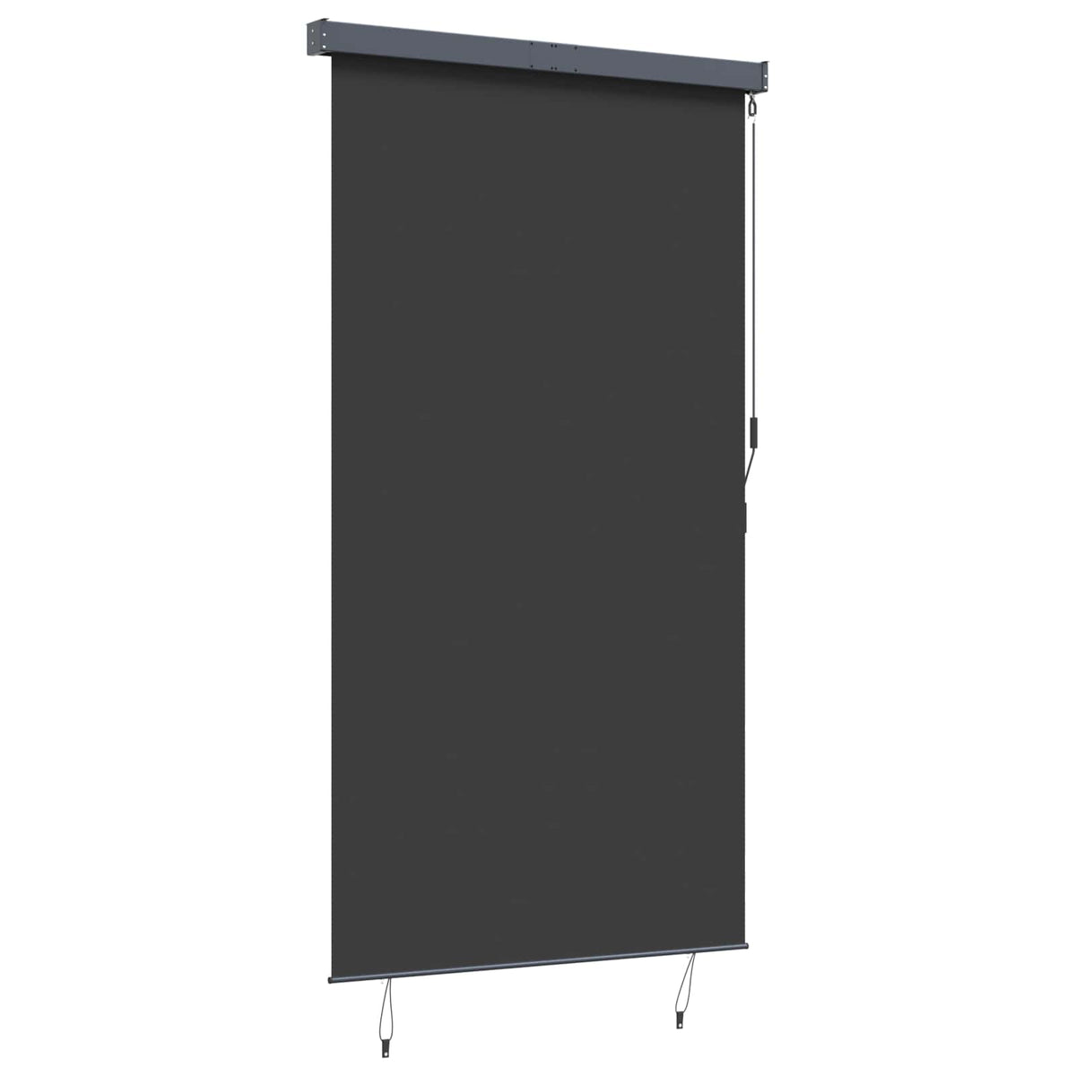 145970 vidaXL Outdoor Roller Blind 140x250 cm Anthracite