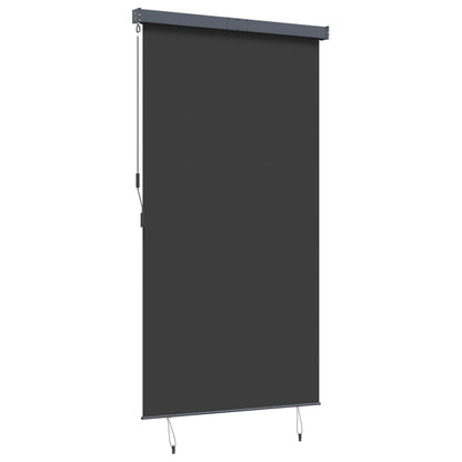 145970 vidaXL Outdoor Roller Blind 140x250 cm Anthracite