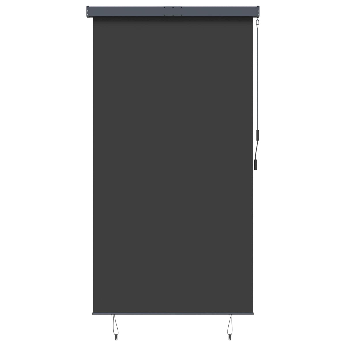 145970 vidaXL Outdoor Roller Blind 140x250 cm Anthracite