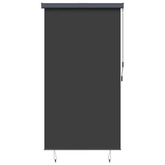 145970 vidaXL Outdoor Roller Blind 140x250 cm Anthracite