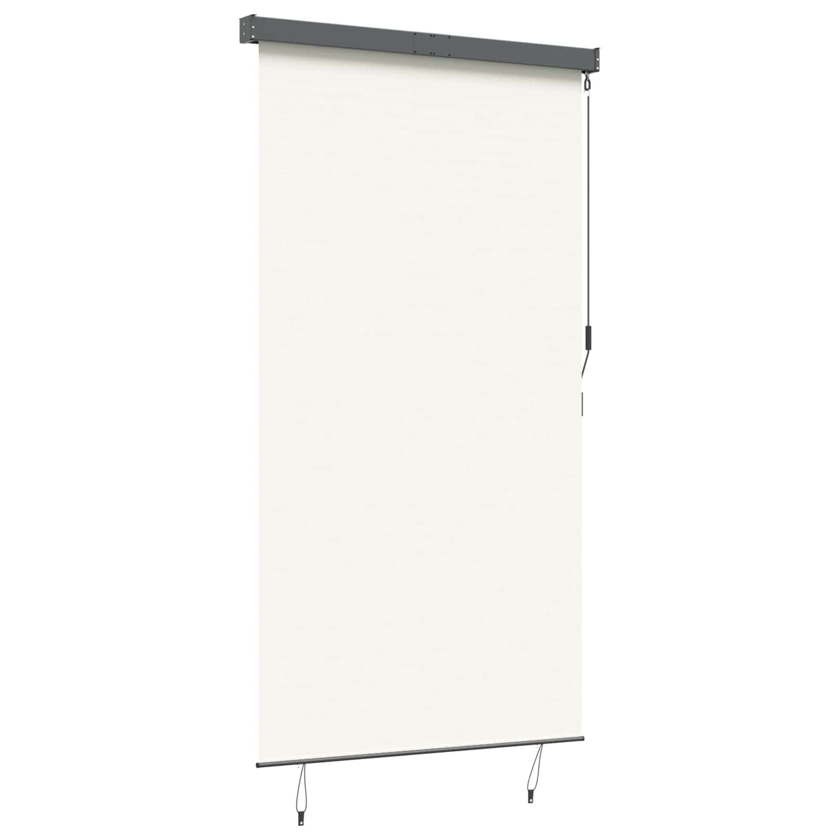 145971 vidaXL Outdoor Roller Blind 140x250 cm Cream