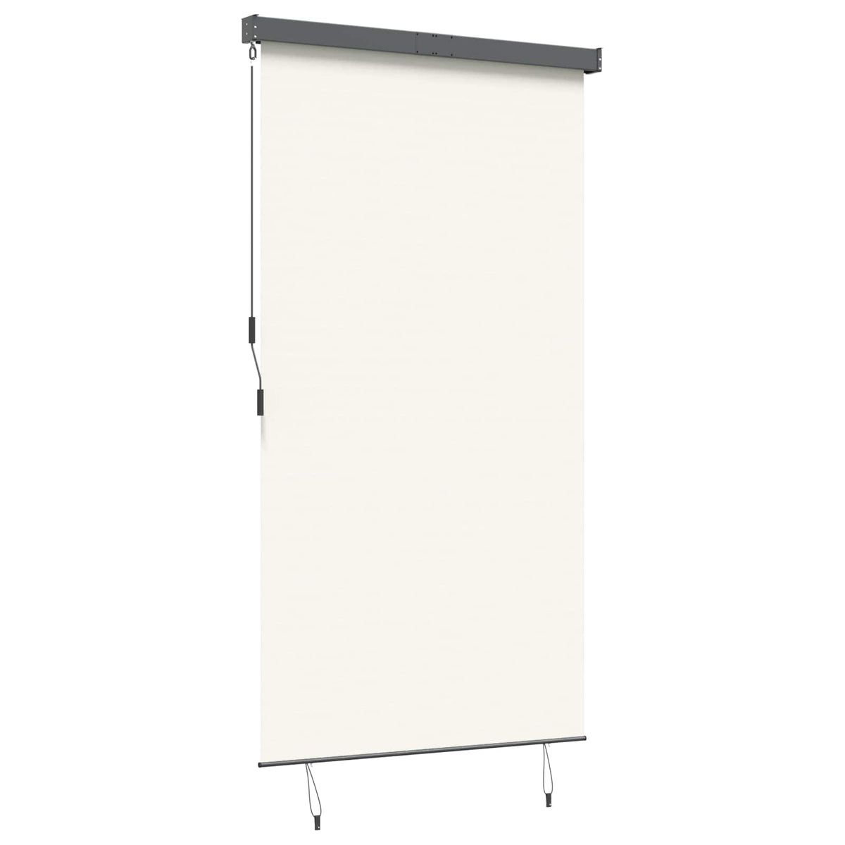 145971 vidaXL Outdoor Roller Blind 140x250 cm Cream