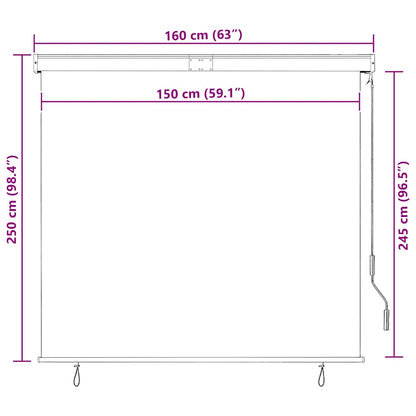 vidaXL Outdoor Roller Blind 160x250 cm Blue and White