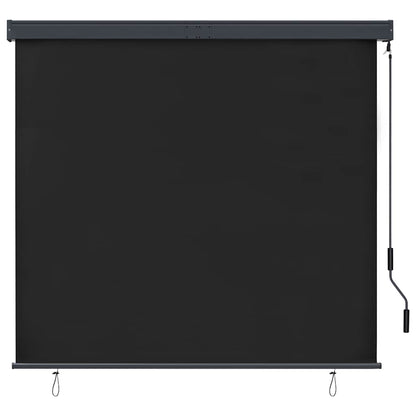 vidaXL Roller Shade | Anthracite | Polyester | 160x250 cm | Retractable