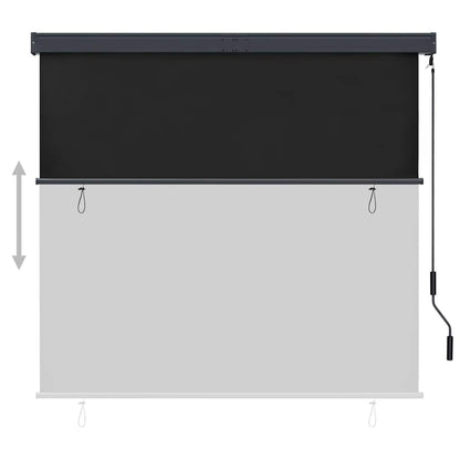 vidaXL Roller Shade | Anthracite | Polyester | 160x250 cm | Retractable