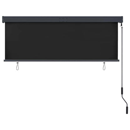 vidaXL Roller Shade | Anthracite | Polyester | 160x250 cm | Retractable