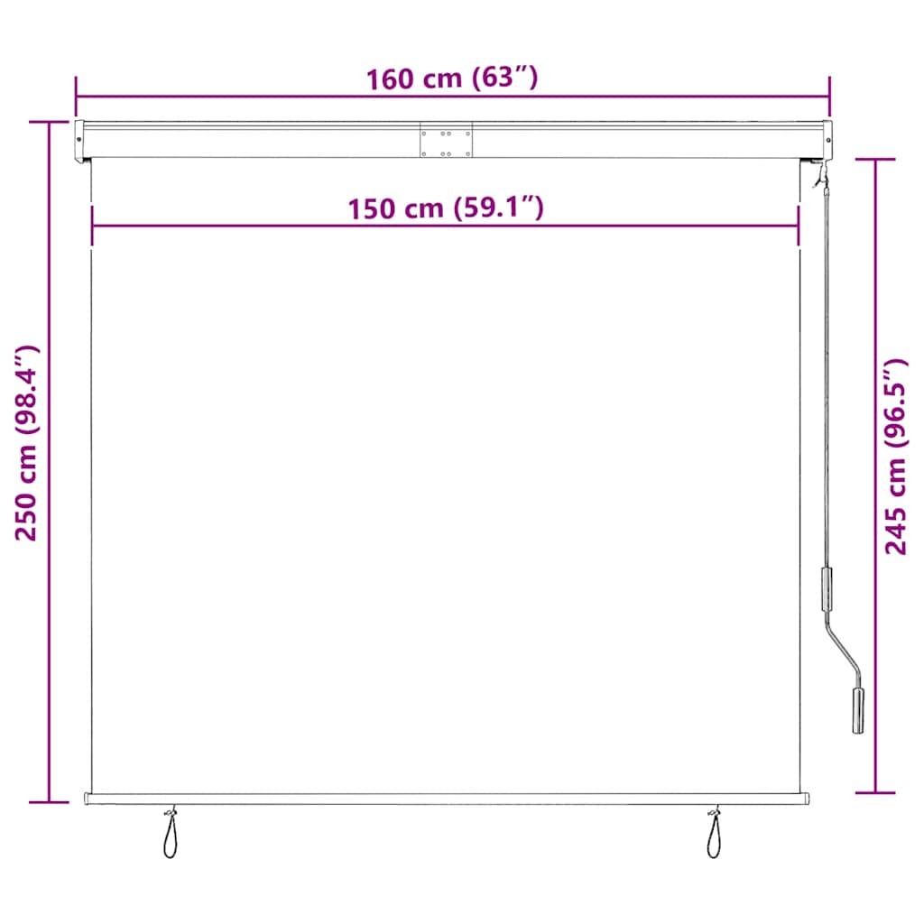 vidaXL Roller Shade | Anthracite | Polyester | 160x250 cm | Retractable