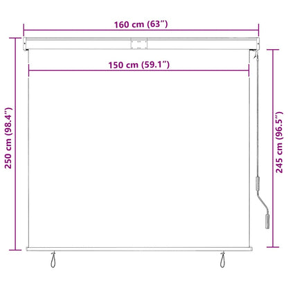 vidaXL Roller Shade | Anthracite | Polyester | 160x250 cm | Retractable