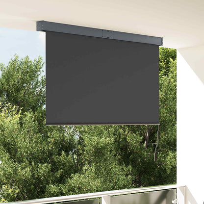 145976 vidaXL Outdoor Roller Blind 160x250 cm Anthracite