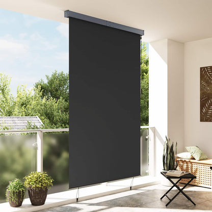 145976 vidaXL Outdoor Roller Blind 160x250 cm Anthracite