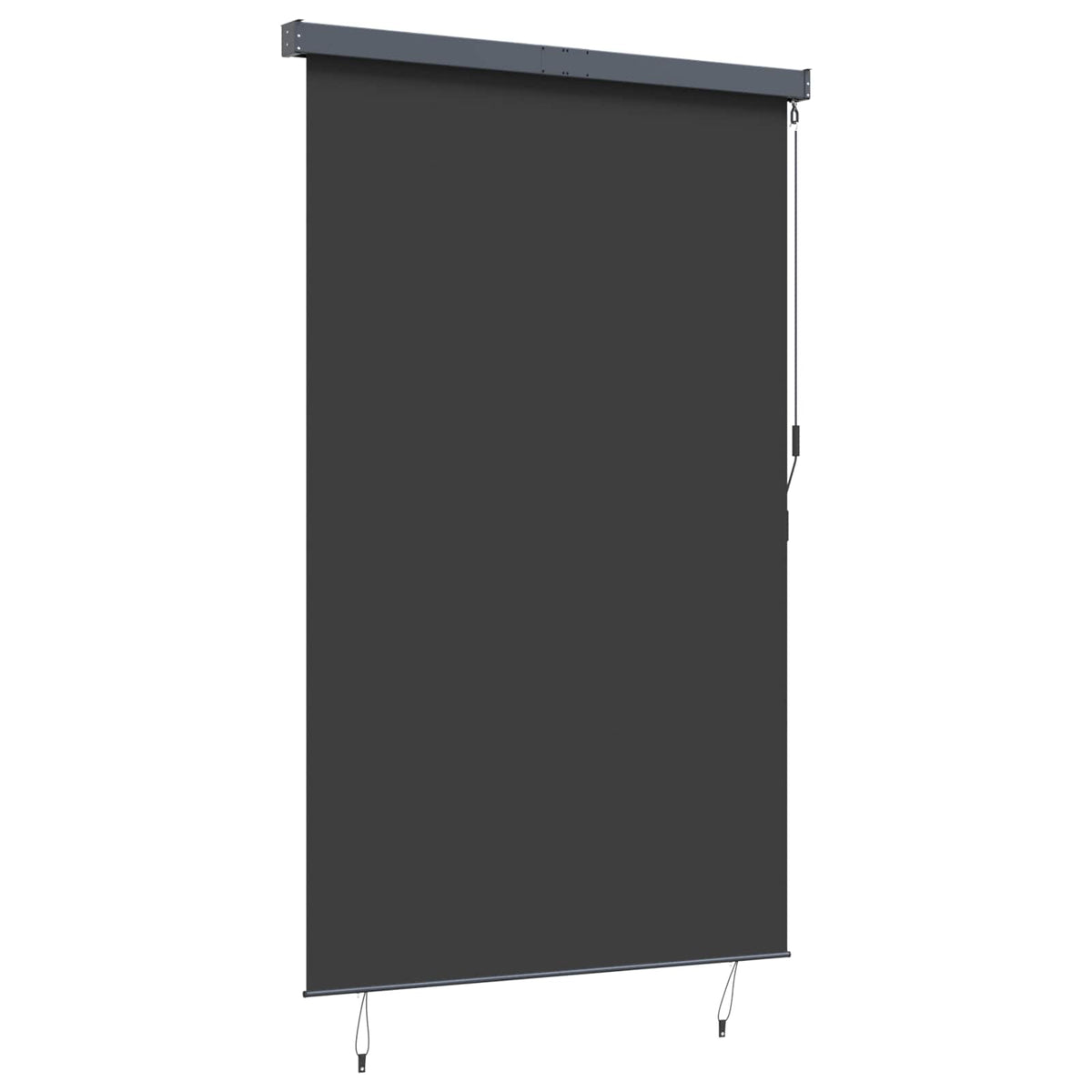 145976 vidaXL Outdoor Roller Blind 160x250 cm Anthracite