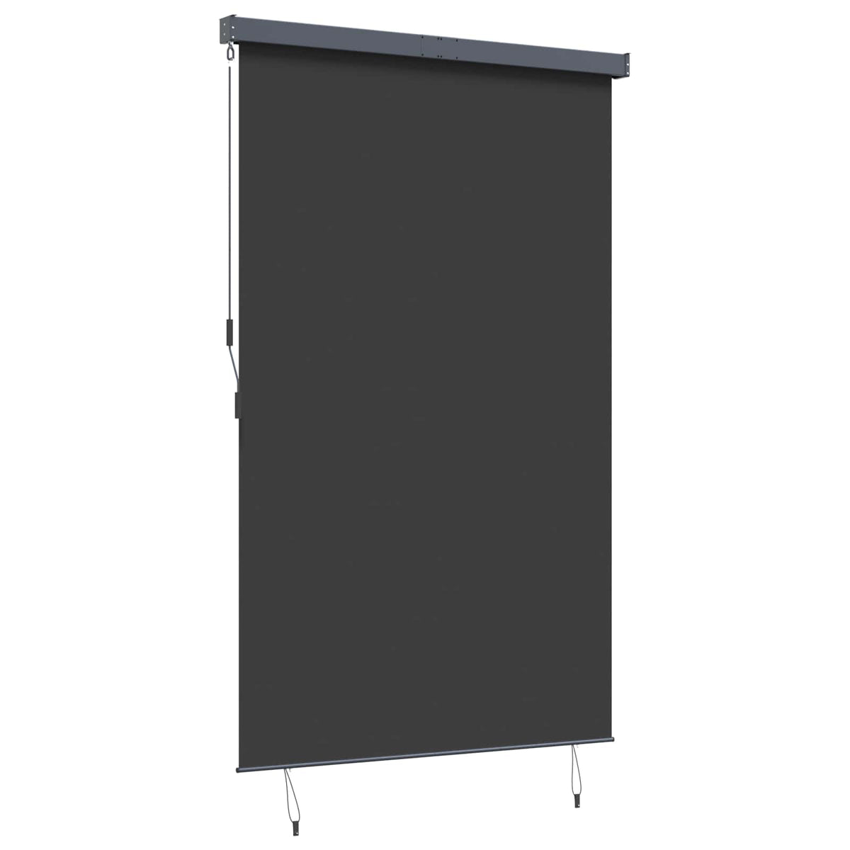 145976 vidaXL Outdoor Roller Blind 160x250 cm Anthracite
