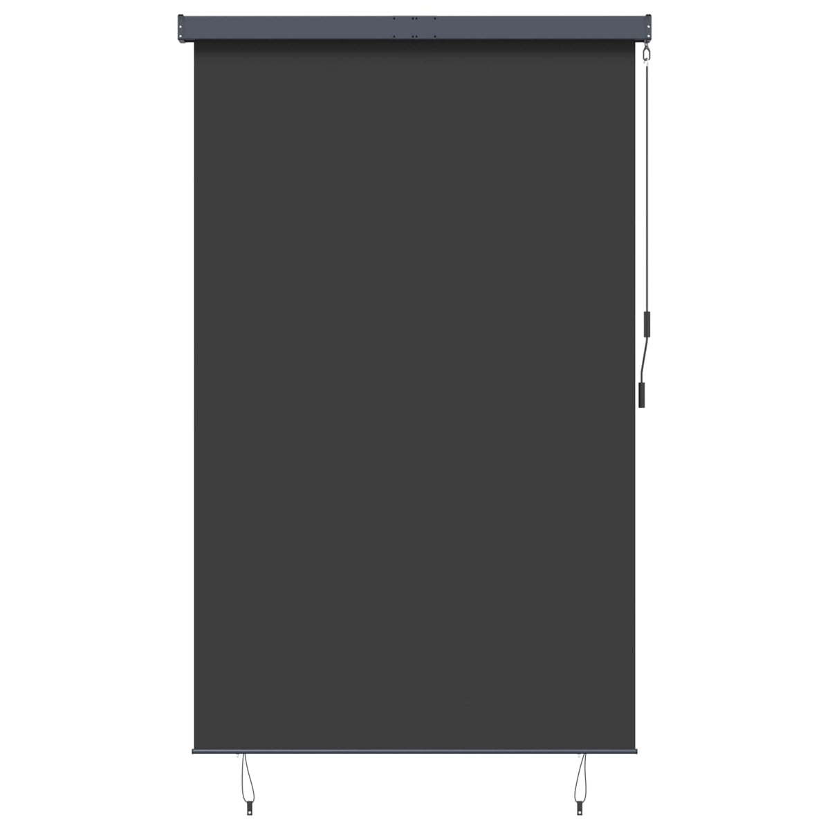 145976 vidaXL Outdoor Roller Blind 160x250 cm Anthracite
