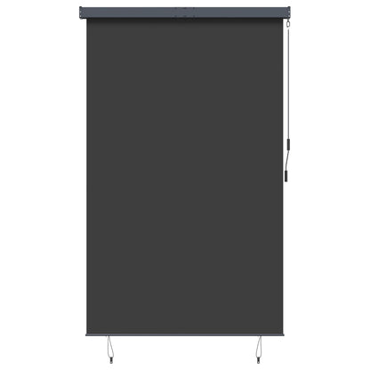 145976 vidaXL Outdoor Roller Blind 160x250 cm Anthracite