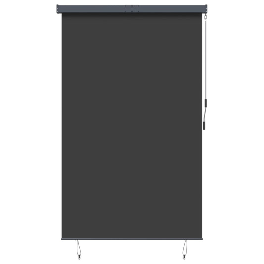 145976 vidaXL Outdoor Roller Blind 160x250 cm Anthracite