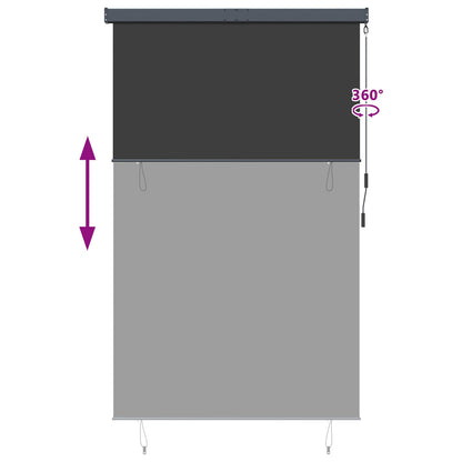 145976 vidaXL Outdoor Roller Blind 160x250 cm Anthracite