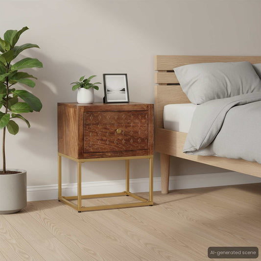 286554 vidaXL Bedside Cabinet 40x30x50 cm Solid Mango Wood