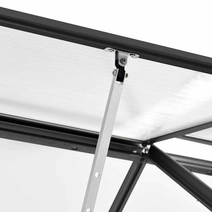 vidaXL Greenhouse with Base Frame Anthracite Aluminium 7.03 m²