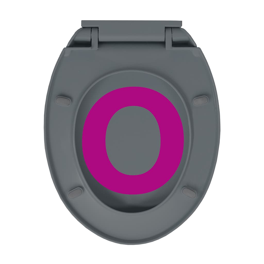 vidaXL Soft-Close Toilet Seat Grey Oval