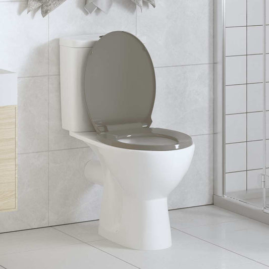 vidaXL Soft-Close Toilet Seat Grey Oval