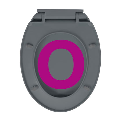 vidaXL Soft-Close Toilet Seat Quick Release Grey Oval
