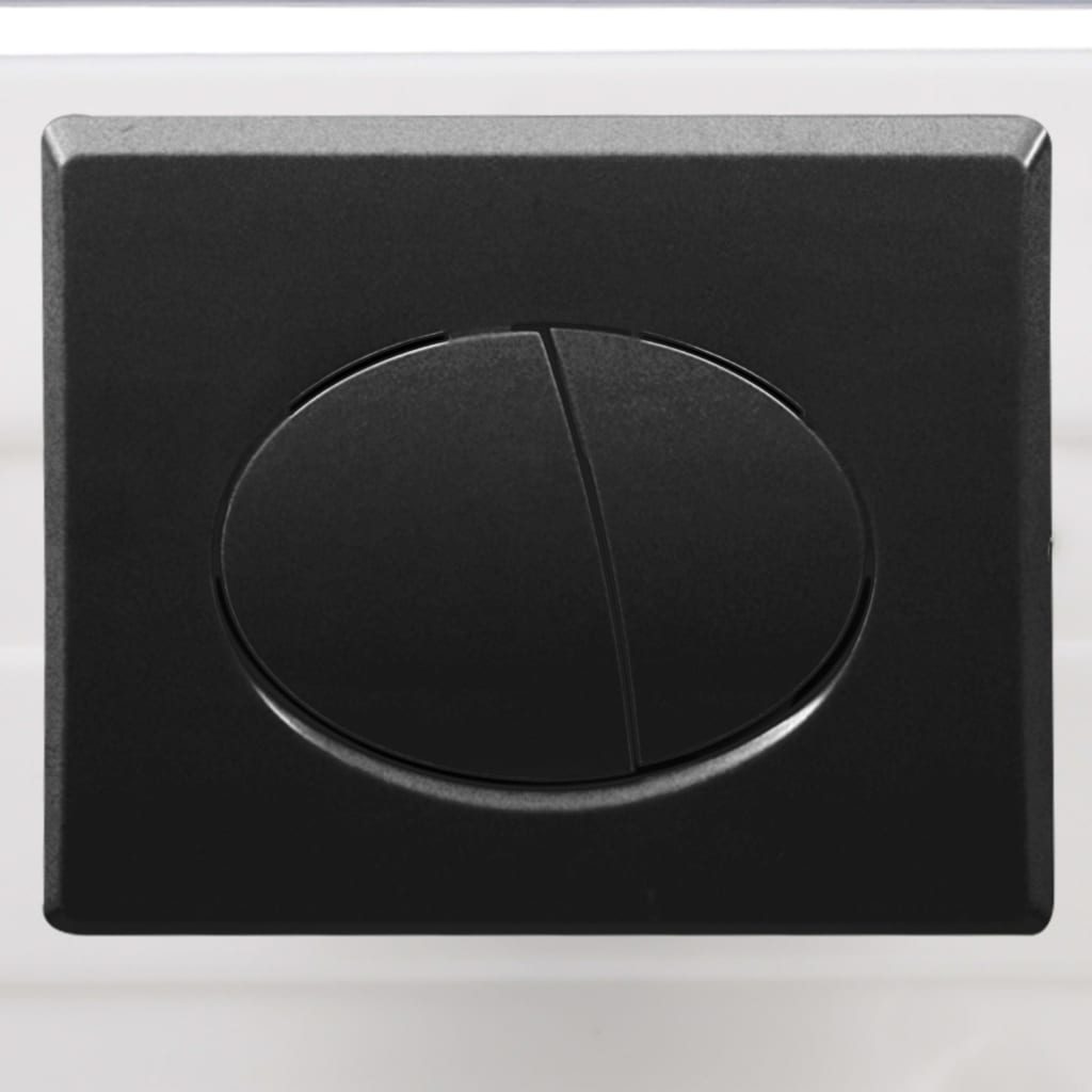 vidaXL Wall Hung Toilet with Concealed Cistern Ceramic Black