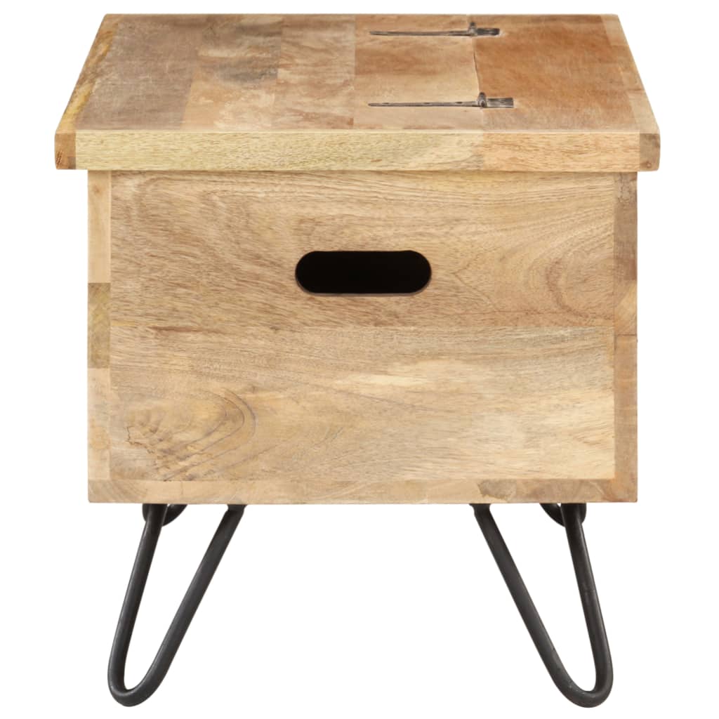 vidaXL Chest | Natural wood | Solid mango wood, Steel | Medium | Chest
