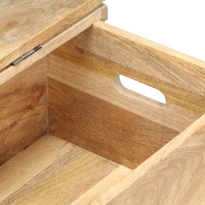 vidaXL Chest | Natural wood | Solid mango wood, Steel | Medium | Chest