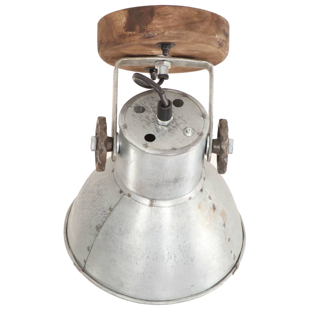 vidaXL Industrial Wall/Ceiling Lamps 2 pcs Silver 20x25 cm E27