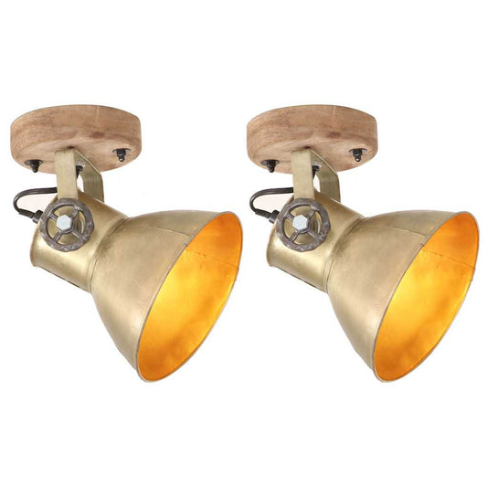 320509 vidaXL Industrial Wall/Ceiling Lamps 2 pcs Brass 20x25 cm E27